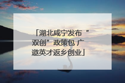 湖北咸宁发布“双创”政策包 广邀英才返乡创业