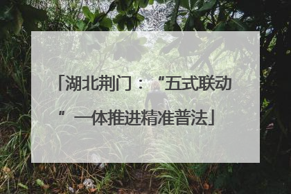 湖北荆门：“五式联动”一体推进精准普法