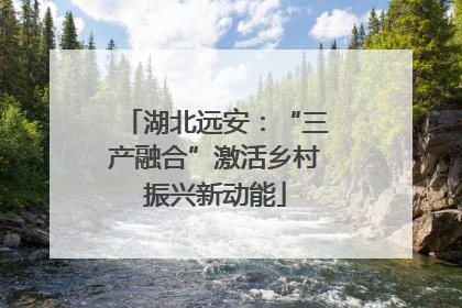 湖北远安：“三产融合”激活乡村振兴新动能