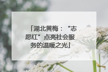 湖北黄梅：“志愿红”点亮社会服务的温暖之光