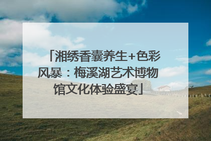 湘绣香囊养生+色彩风暴：梅溪湖艺术博物馆文化体验盛宴