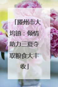 滕州市大坞镇：倾情助力三夏夺取粮食大丰收