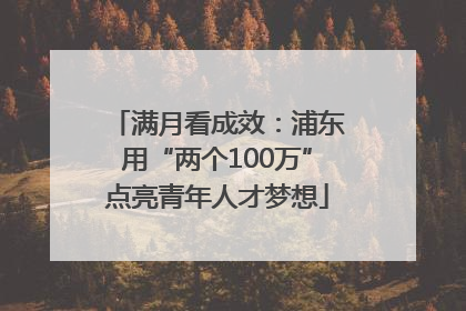 满月看成效：浦东用“两个100万”点亮青年人才梦想