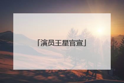 演员王星官宣