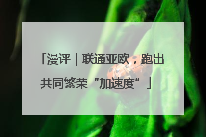 漫评｜联通亚欧，跑出共同繁荣“加速度”