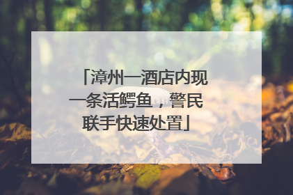 漳州一酒店内现一条活鳄鱼，警民联手快速处置