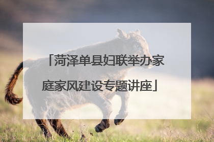 菏泽单县妇联举办家庭家风建设专题讲座
