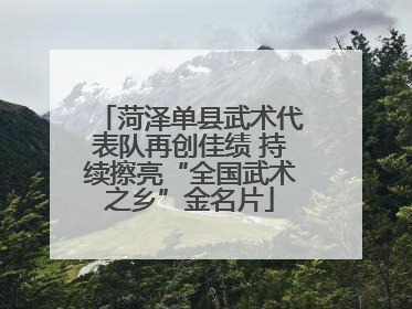 菏泽单县武术代表队再创佳绩 持续擦亮“全国武术之乡”金名片