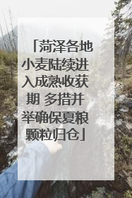 菏泽各地小麦陆续进入成熟收获期 多措并举确保夏粮颗粒归仓