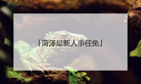 菏泽最新人事任免