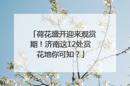 荷花盛开迎来观赏期！济南这12处赏花地你可知？