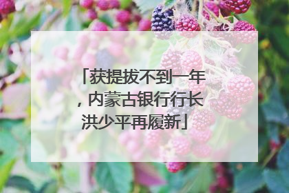获提拔不到一年，内蒙古银行行长洪少平再履新