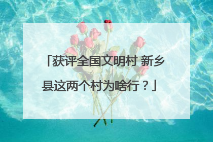 获评全国文明村 新乡县这两个村为啥行？