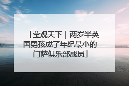 莹观天下｜两岁半英国男孩成了年纪最小的门萨俱乐部成员