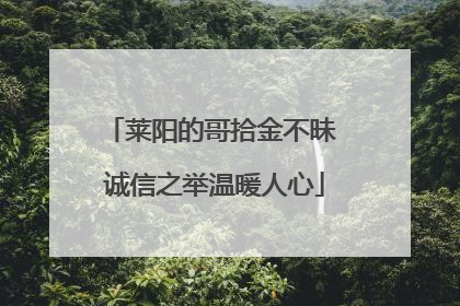 莱阳的哥拾金不昧 诚信之举温暖人心