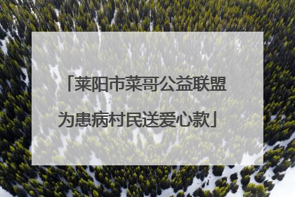 莱阳市菜哥公益联盟为患病村民送爱心款