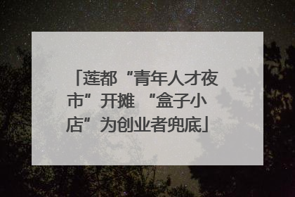 莲都“青年人才夜市”开摊 “盒子小店”为创业者兜底