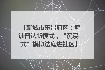 聊城市东昌府区：解锁普法新模式，“沉浸式”模拟法庭进社区