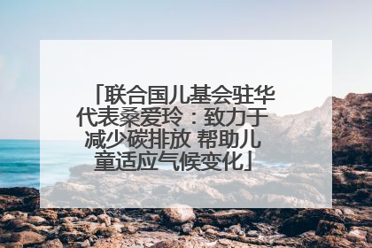 联合国儿基会驻华代表桑爱玲：致力于减少碳排放 帮助儿童适应气候变化