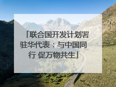 联合国开发计划署驻华代表：与中国同行 促万物共生