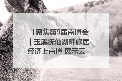 聚焦第9届南博会｜玉溪抚仙湖畔旅居经济上南博 展示云南生活新样本