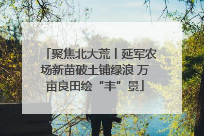 聚焦北大荒丨延军农场新苗破土铺绿浪 万亩良田绘“丰”景