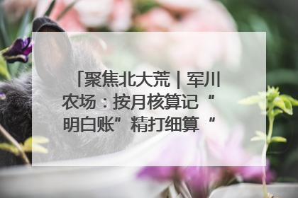 聚焦北大荒｜军川农场：按月核算记“明白账”精打细算“过紧日子”