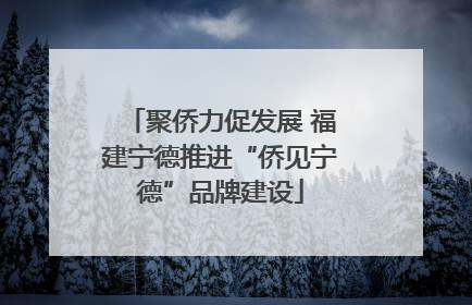 聚侨力促发展 福建宁德推进“侨见宁德”品牌建设