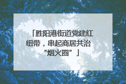 胜阳港街道党建红纽带，串起商居共治 “烟火圈”
