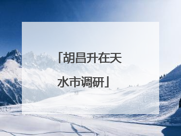 胡昌升在天水市调研