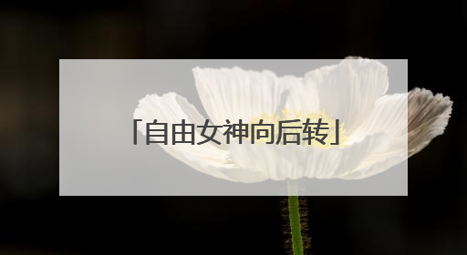 自由女神向后转