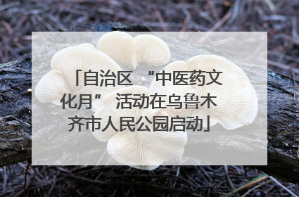 自治区 “中医药文化月” 活动在乌鲁木齐市人民公园启动