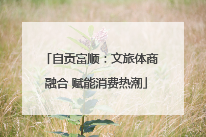 自贡富顺：文旅体商融合 赋能消费热潮