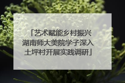 艺术赋能乡村振兴 湖南师大美院学子深入土坪村开展实践调研