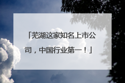 芜湖这家知名上市公司，中国行业第一！
