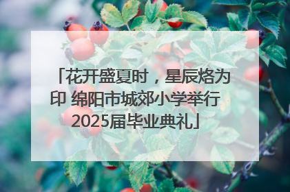 花开盛夏时，星辰烙为印 绵阳市城郊小学举行2025届毕业典礼