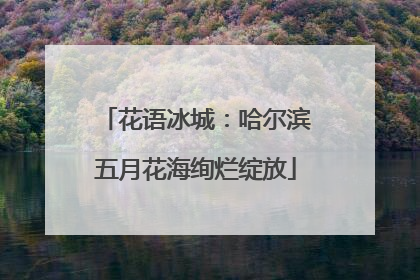 花语冰城：哈尔滨五月花海绚烂绽放