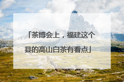 茶博会上，福建这个县的高山白茶有看点