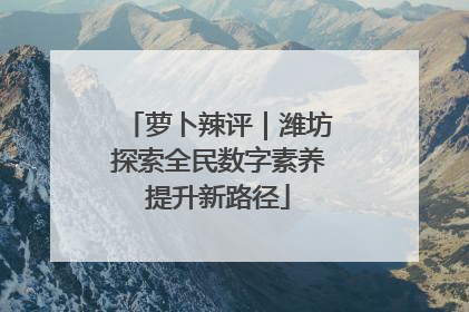 萝卜辣评｜潍坊探索全民数字素养提升新路径