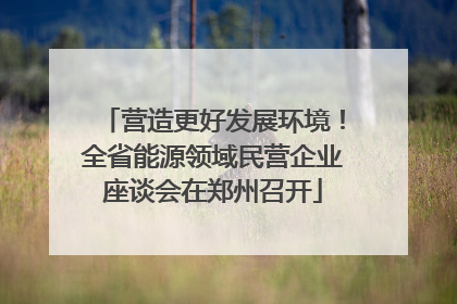 营造更好发展环境！全省能源领域民营企业座谈会在郑州召开