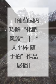 葡萄园内巧解“化肥风波”｜“天平杯·随手拍”作品展播
