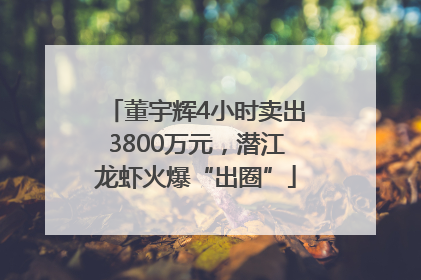 董宇辉4小时卖出3800万元，潜江龙虾火爆“出圈”