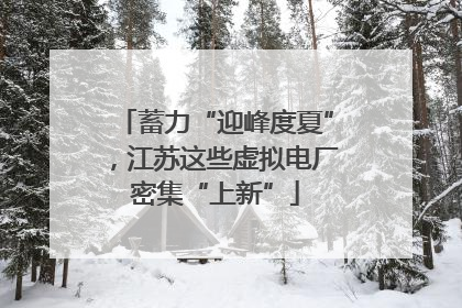 蓄力“迎峰度夏”，江苏这些虚拟电厂密集“上新”