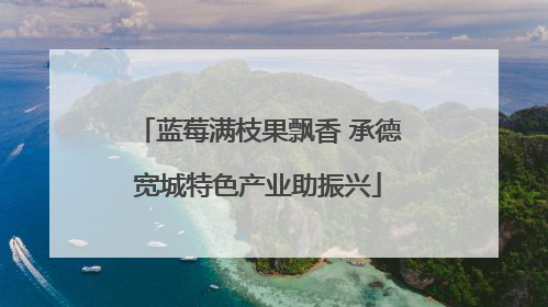 蓝莓满枝果飘香 承德宽城特色产业助振兴