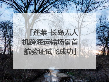 蓬莱-长岛无人机跨海运输场景首航验证试飞成功