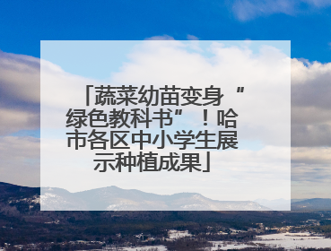 蔬菜幼苗变身“绿色教科书”！哈市各区中小学生展示种植成果