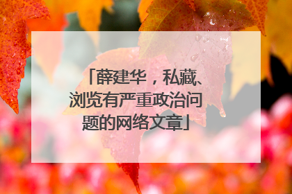 薛建华，私藏、浏览有严重政治问题的网络文章