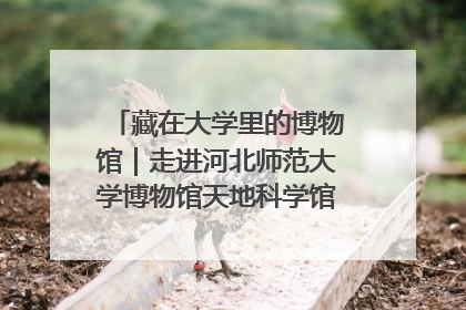 藏在大学里的博物馆｜走进河北师范大学博物馆天地科学馆：在校园里赴一场“宇宙之约”