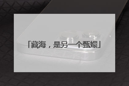 藏海，是另一个甄嬛