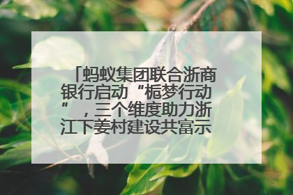 蚂蚁集团联合浙商银行启动“栀梦行动”，三个维度助力浙江下姜村建设共富示范区示范点